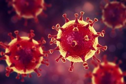 О дополнительных мерах по предупреждению распространения новой коронавирусной инфекции